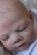 Gorgeous Pippin Kewy Reborn- Baby Boy Doll Nubornz Nursery Painted Hair