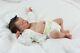 Gorgeous Reborn Baby Doll Twin B By Sculpted By Bonnie Brown With Coa