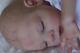 Gorgeous Reborn Pippin Kewy Baby Boy Doll Nubornz Nursery Painted Hair