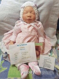 Gorgeous SOLE Reborn Baby Aimee Rose With COA And Birth Certificate