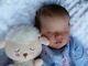 Hanley Reborn Doll Cuddle Baby Evelyn Rooted Hair