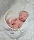 Haven (boy) By Izzy Zhao Painted And Rooted By Jo Birch Reborn Doll Baby