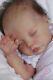 Highly Detailed Reborn Delilah Johnston Artful Babies Baby Girl Doll Iiora