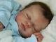 Isabella By Nikki Johnston. Beautiful Reborn Baby Doll With Coa