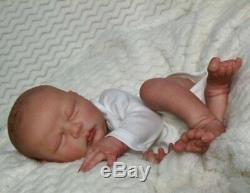 LE Reborn Collectable Baby doll art Newborn Jasmine Daegan Boy/Girl