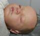 Lavender New Born Reborn Baby Artist Gorgeous Doll With Clothes