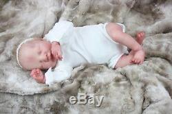 Levi by Bonnie Brown. Beautiful Reborn Baby Doll with COA
