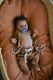 Lifelike Ethnic Biracial Reborn Baby Art Doll By Prototype Artist Anna Sheva