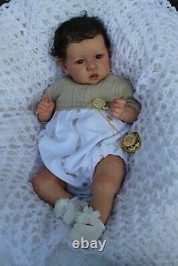 Lillbees lifelike reborn baby girl boy custom order saskia b brown coa