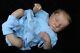 Lillbees Stunning Lifelike Reborn Baby Boy Levi B Brown With Coa