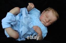 Lillbees stunning lifelike reborn baby Boy Levi B Brown With Coa