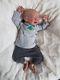 Limited Edition Reborn Baby Boy Huggable By Marita Winters Lifelike Preemie Doll