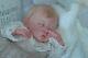 Lovely Reborn Life Like Baby Liam Gudrun Legler Free Gift Included
