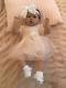 Lovely Reborn Baby Girl Doll. Hand Rooted Dark Brown Hair. 21 Ins