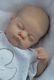 Marian Ross Reborn Newborn Baby Girl Doll Birdie Laura Lee Eagles Ltd Edition