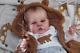 Magnolia Dream Doll Reborn Baby Boy Roux By Cassie Brace 18'' Le Coa