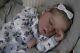 Magnolia Dream Doll Reborn Baby Girl Darren Asleep Realborn 17.5