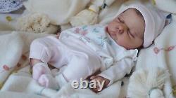 Magnolia Dream Doll Reborn baby girl boy Willa by Cassie Brace LE COA 19.5
