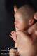 Micro Preemie Wee Patience Rebornbaby Reborn Baby Dolls By Laura Lee Eagles Xx
