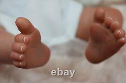 New Reborn Baby Boy Doll Up To 7lbs Child Safe Full Limbs Sunbeambabies Dan Ltd