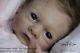 Prototype Aster By Toby Morgan Reborn Baby Girl Doll