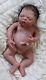 Prototype Harper Rose Full Bodied Silicone By Jo Birch Reborn Doll Baby