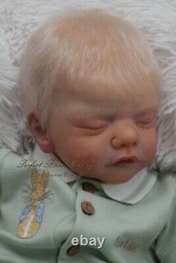 Pbn Yvonne Etheridge Booboo/defect Reborn Doll Sculpt Sam By Gudrun Legler