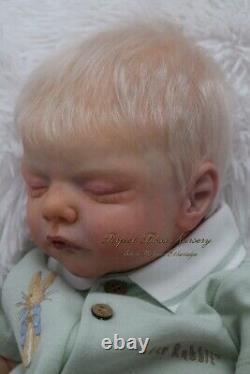 Pbn Yvonne Etheridge Booboo/defect Reborn Doll Sculpt Sam By Gudrun Legler