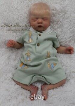 Pbn Yvonne Etheridge Booboo/defect Reborn Doll Sculpt Sam By Gudrun Legler