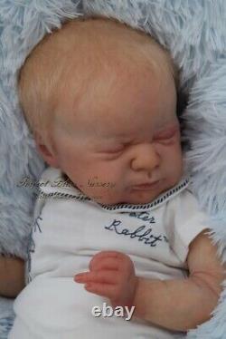 Pbn Yvonne Etheridge Reborn Baby Doll Boy Sculpt Azalea By Laura L Eagles 0121