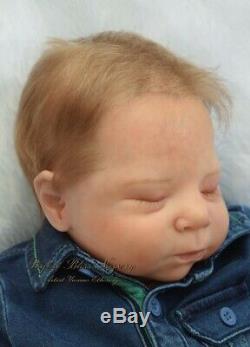 Pbn Yvonne Etheridge Reborn Baby Doll Boy Sculpt Luciano By Cassie Brace 0319