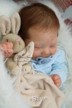 Pbn Yvonne Etheridge Reborn Baby Doll Boy Sculpt Luciano By Cassie Brace 0619