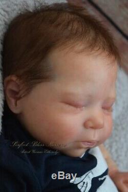 Pbn Yvonne Etheridge Reborn Baby Doll Boy Sculpt Luciano By Cassie Brace 0619