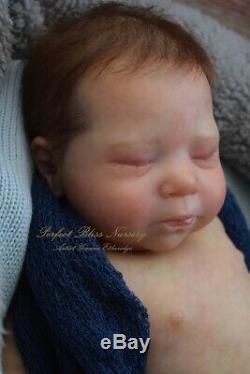 Pbn Yvonne Etheridge Reborn Baby Doll Boy Sculpt Luciano By Cassie Brace 0619