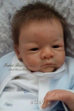 Pbn Yvonne Etheridge Reborn Baby Doll Boy Sculpt River By Toby Morgan 0119