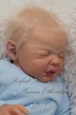 Pbn Yvonne Etheridge Reborn Baby Doll Boy Sculpt Sterling By Dawn Mcleod 0123