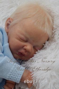 Pbn Yvonne Etheridge Reborn Baby Doll Boy Sculpt Sterling By Dawn Mcleod 0123