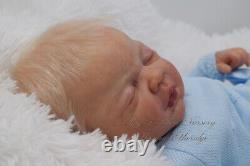 Pbn Yvonne Etheridge Reborn Baby Doll Boy Sculpt Sterling By Dawn Mcleod 0123