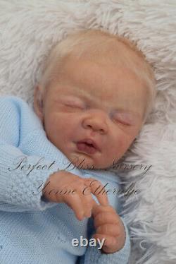 Pbn Yvonne Etheridge Reborn Baby Doll Boy Sculpt Sterling By Dawn Mcleod 0123