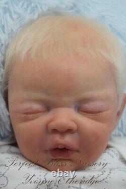 Pbn Yvonne Etheridge Reborn Baby Doll Boy Sculpt Sterling By Dawn Mcleod 0123