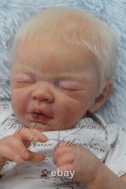 Pbn Yvonne Etheridge Reborn Baby Doll Boy Sculpt Sterling By Dawn Mcleod 0123