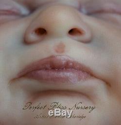 Pbn Yvonne Etheridge Reborn Baby Doll Girl Sculpt Azalea By Lle 0219