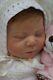 Pbn Yvonne Etheridge Reborn Baby Doll Girl Sculpt Chase By Bonnie Brown 0320