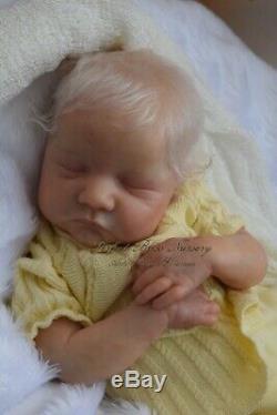 Pbn Yvonne Etheridge Reborn Baby Doll Girl Sculpt Levi By Bonnie Brown 0219