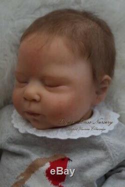 Pbn Yvonne Etheridge Reborn Baby Doll Girl Sculpt Luciano By Cassie Brace 0119