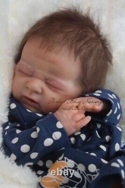 Pbn Yvonne Etheridge Reborn Baby Doll Girl Sculpt Odessa By Laura Eagles 0120