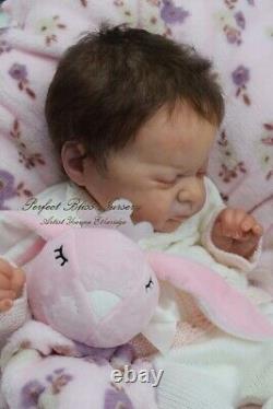 Pbn Yvonne Etheridge Reborn Baby Doll Sculpt Azalea By Laura L Eagles 0321