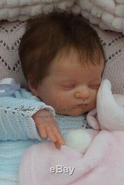 Pbn Yvonne Etheridge Reborn Baby Doll Sculpt Evie By Laura Lee Eagles 0220