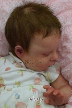 Pbn Yvonne Etheridge Reborn Baby Doll Sculpt Ruby By Cassie Brace 0121