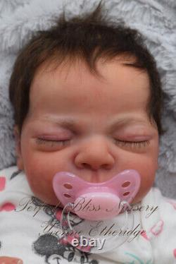 Pbn Yvonne Etheridge Reborn Baby Doll Sculpt Siri By Elisa Marx 0124